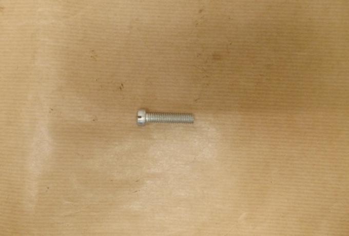 BSA Cover Screw 1/4" long A10 Plunger