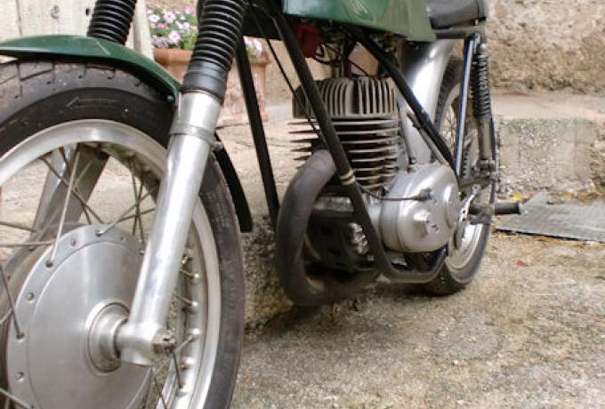 Cotton 250cc 1965