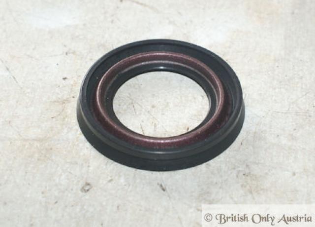 Triumph Seal for Bearing