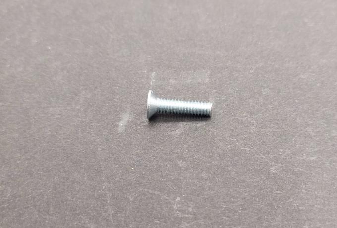 Amal Security Screw M4 x 16. slotted C/SK BZP